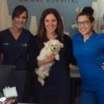 Happy tails empolyees